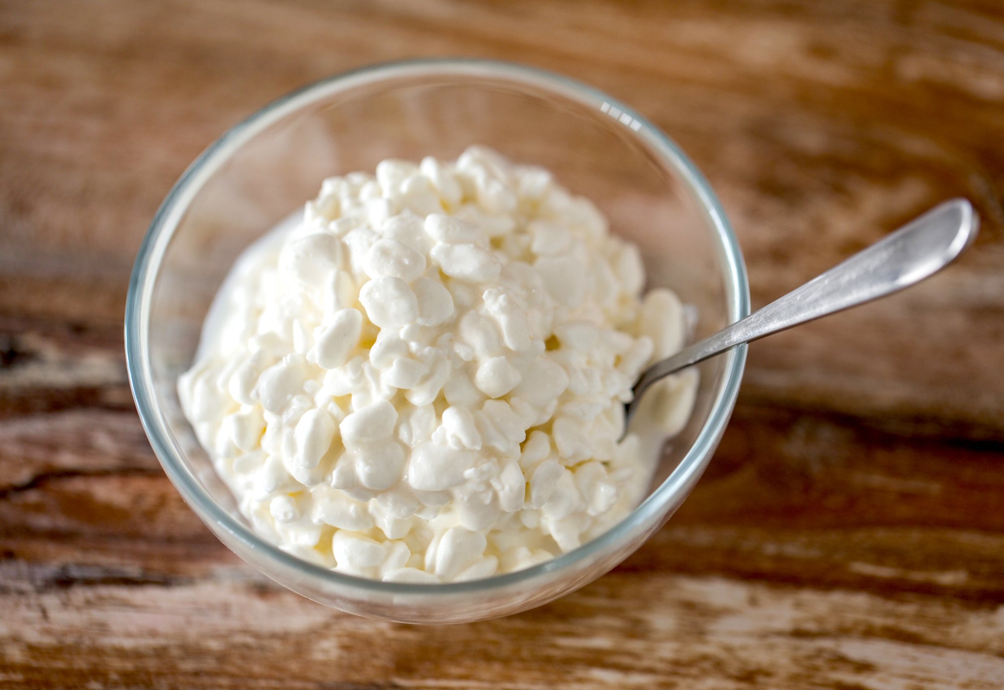 Fermented Dairy Products for a Healthy Gut: Cottage Cheese