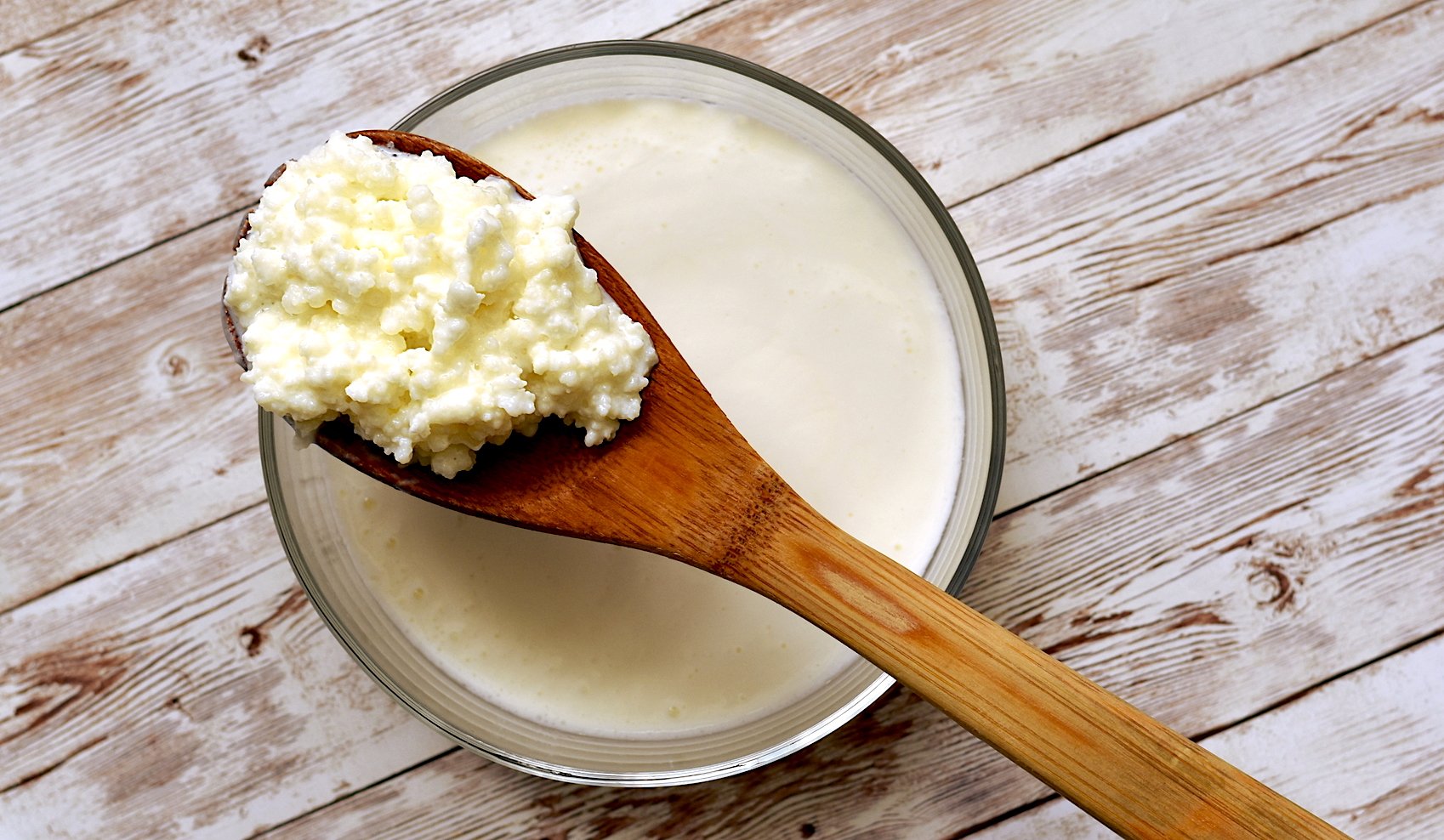 dairy nutrition from fermented foods