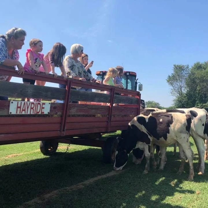 group dairy farm tours on hayride to see dairy cows in open field