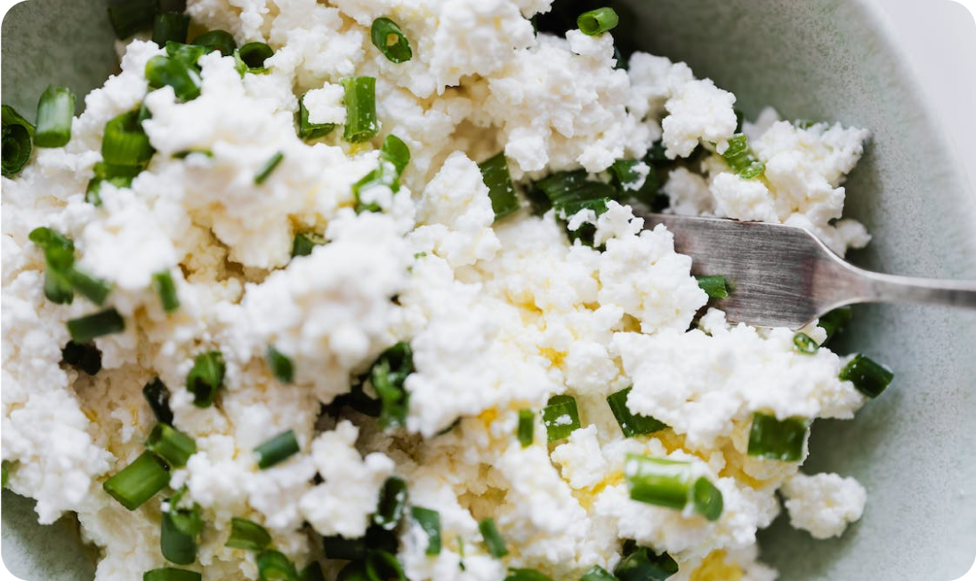 What are Fermented Foods?